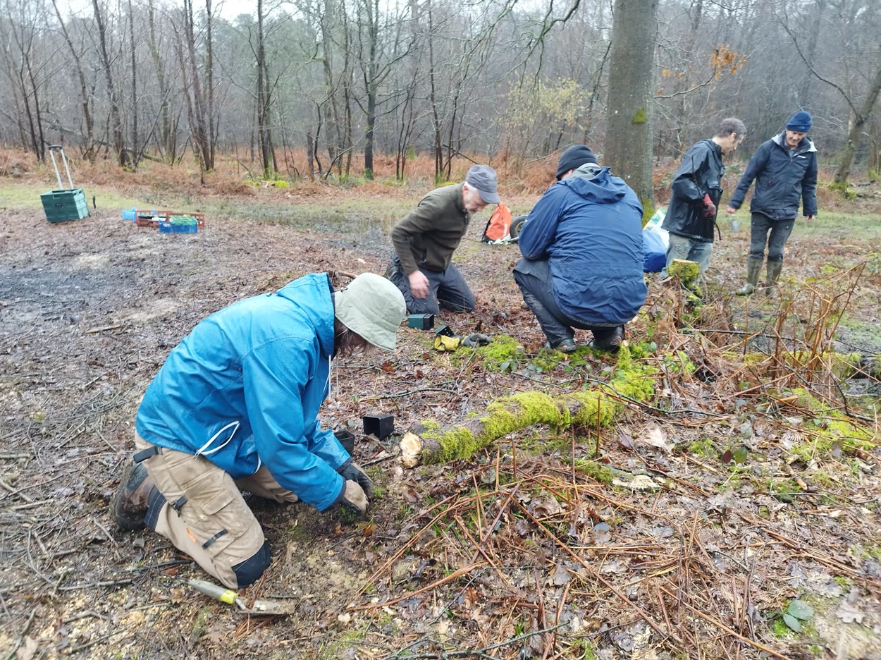 Volunteers at a work party